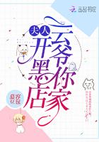 云爷你家夫人开黑店txt