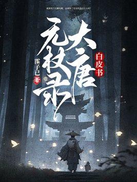 白皮书大唐无杖录讲的是什么