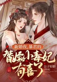 暴君的替嫁男妃