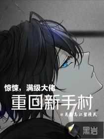 满级大佬回到新手村