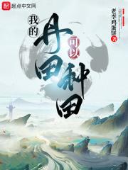 我得丹田有手机起点