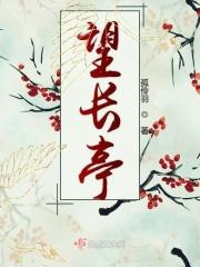 望长亭内外