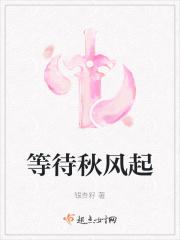 秋风起待你归