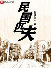 民国匹夫无防盗