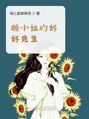 顾小姐的是什么电视剧