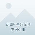 无敌武神百度百科