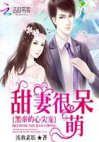黑帝心尖宠甜妻很呆萌 从一几年开始写