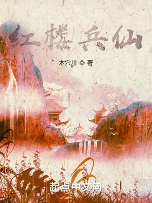 红楼兵仙TXT