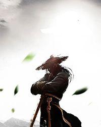 武林高手穿越魔法世界的
