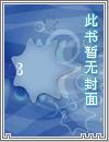 上门豪婿王锐免费