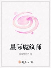 穿越星际纹章师