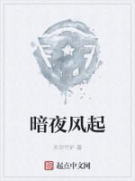 暗夜泠风