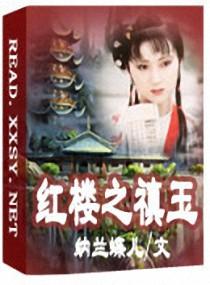 红楼之禛玉良缘