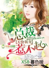 天价宠儿总裁的新妻阅读全文