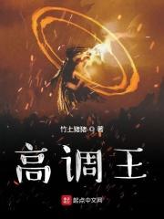 高调王 txt