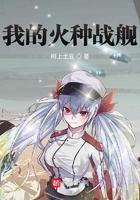 我的火种战舰作者树上土豆