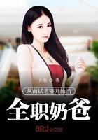 从面试老婆开始当全职奶爸笔趣阁