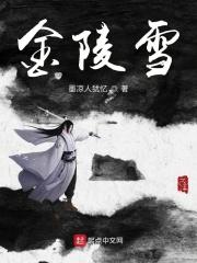 金陵雪一共写了几本书