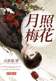 月影梅花图片