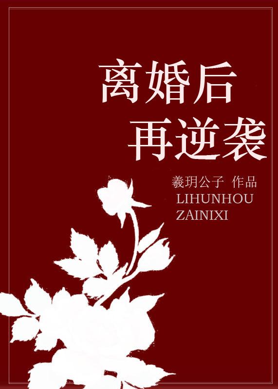 北境守护沈北